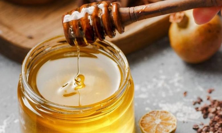 Çam Balı Nedir ? Nasıl Üretilir ?