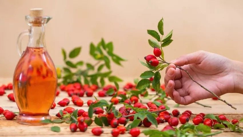 Kuşburnu Sirkesi Faydaları
