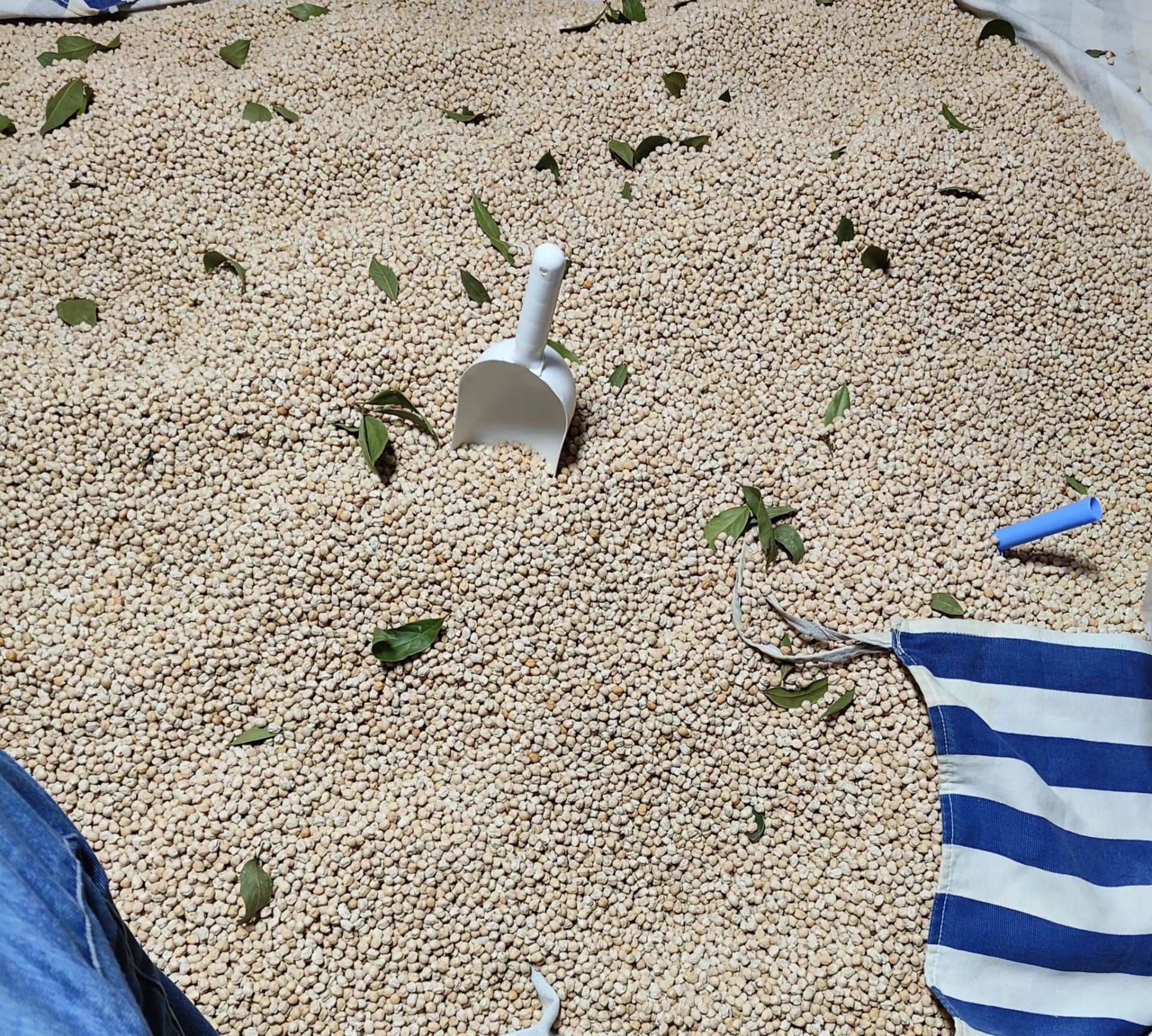 YERLİ BEYAZ NOHUT( 1 kg )